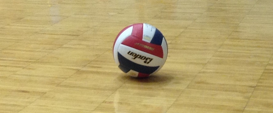 A volleyball